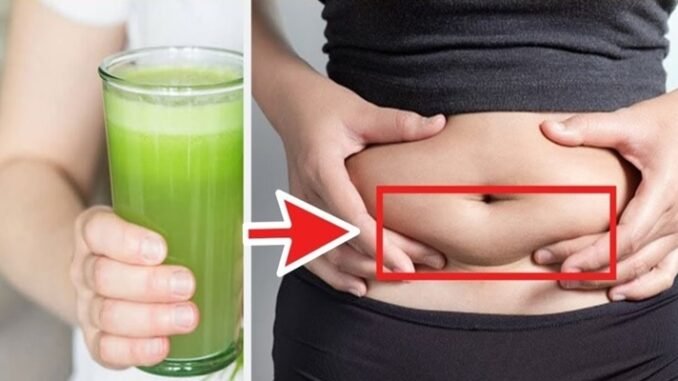 Bebida Caseira Para Queimar Gordura da Barriga