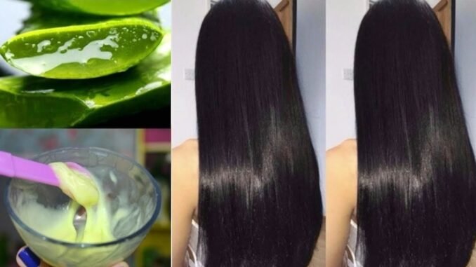 Melhor Desmaia Cabelo Caseiro com Maizena e Babosa