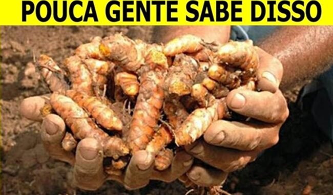 beneficios do chá de açafrão