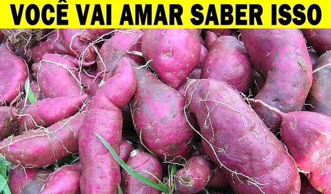 Benefícios da batata doce